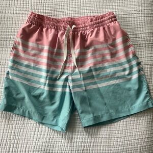 Chubbies Pink and Blue Striped Swim Trunks